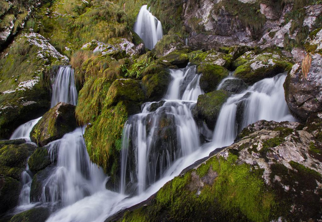 Apartamentos La Regoria Arenas De Cabrales Dış mekan fotoğraf