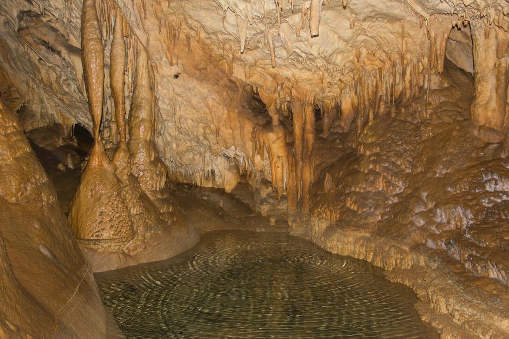 Apartamentos La Regoria Arenas De Cabrales Dış mekan fotoğraf
