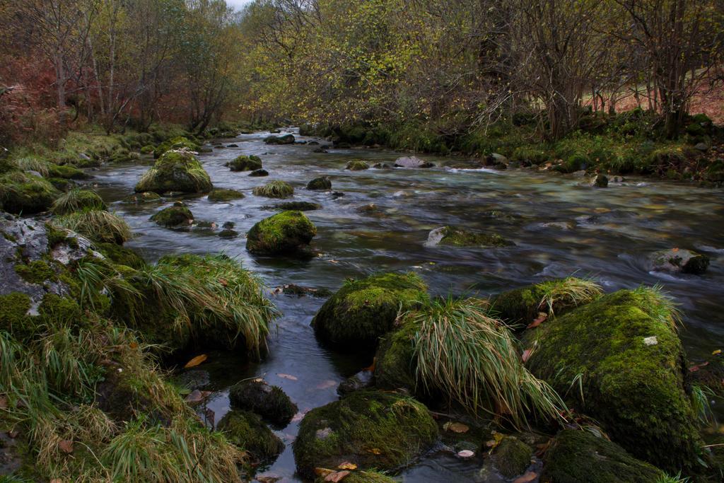 Apartamentos La Regoria Arenas De Cabrales Dış mekan fotoğraf
