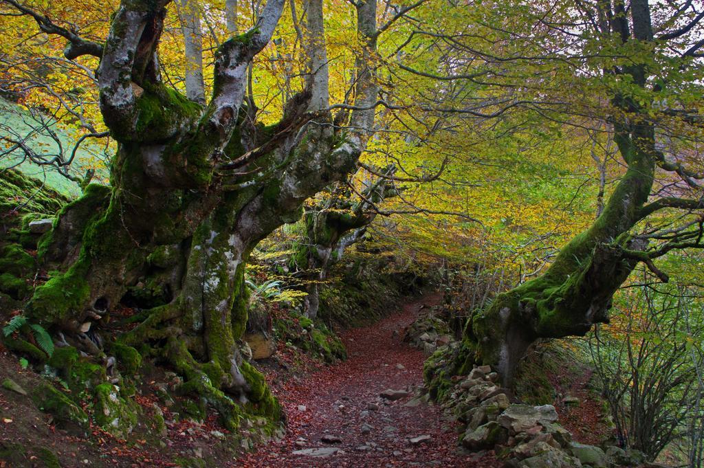 Apartamentos La Regoria Arenas De Cabrales Dış mekan fotoğraf