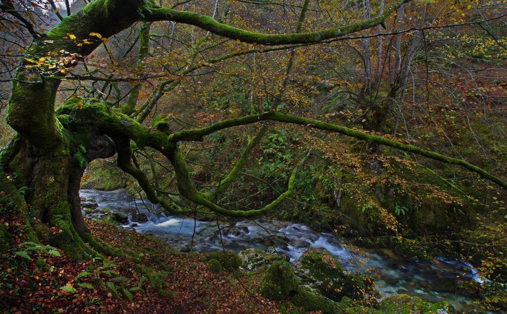 Apartamentos La Regoria Arenas De Cabrales Dış mekan fotoğraf